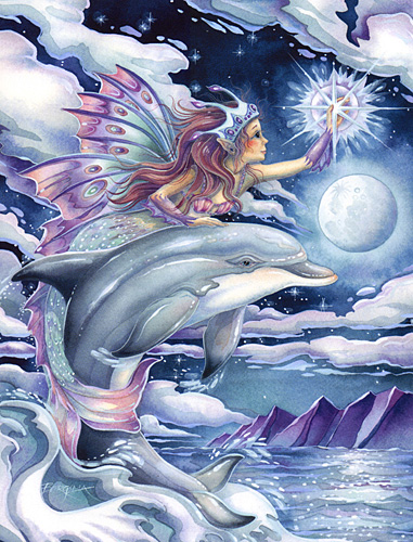 Wish upon a Dolphin Star